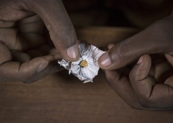 Museveni Arrives in Vietnam, will Hold Bilateral Talks with President Nguyễn Xuân Phúc