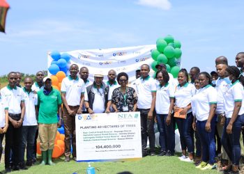 NFA, Uganda Baati Partner to Replant 40 Hectares of Indigenous Trees Countrywide