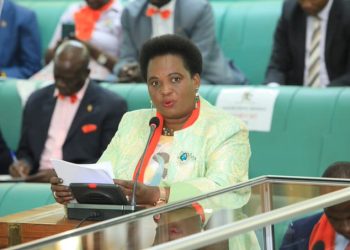 MPs: By Over-emphasizing the Girl-Child, We Are Neglecting the Boy-Child