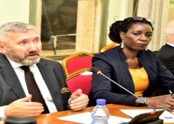 Defence Committee to Probe New Firm over Digital National IDs