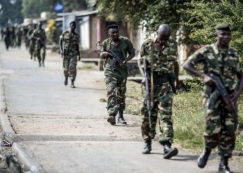 Burundi, DR Congo Forces Kill 40 FNL Rebels in South Kivu