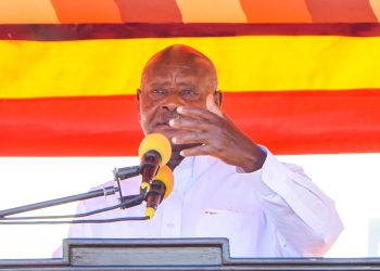 Museveni says Anyone Thinking about Destabilizing Uganda is Daydreaming