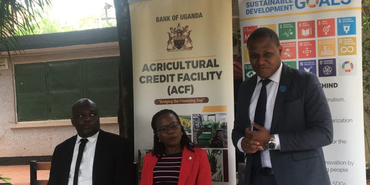 Youth Told to Grab Opportunities in Commercial Agriculture