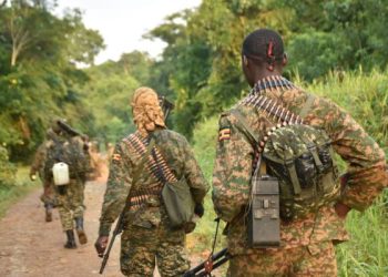 UPDF, FARDC Kill 28 Combatants as EU Sanctions ADF Leader Nkalubo