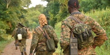 UPDF, FARDC Kill 28 Combatants as EU Sanctions ADF Leader Nkalubo