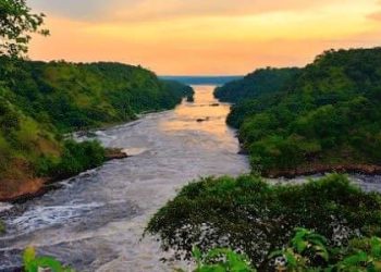 CNN Names Uganda Among Best Tourist Destinations to Explore in 2023