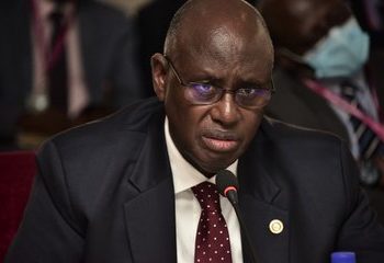 MPs Want Audit into Forest Reserve Licences