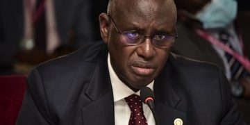 MPs Want Audit into Forest Reserve Licences