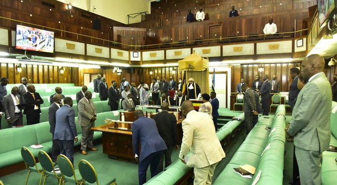 MPs Want Audit into Forest Reserve Licences