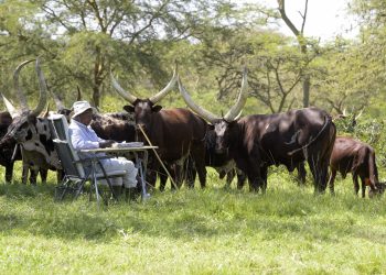 Museveni Shares Formula for Creating Lasting Family Wealth