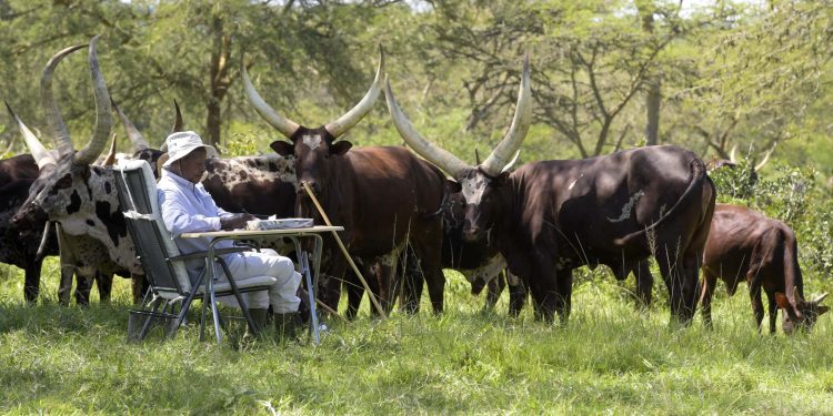 Museveni Shares Formula for Creating Lasting Family Wealth