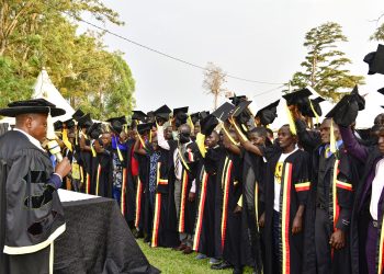 Politicians Urged to Tap into Museveni’s Development Initiatives for Political Mileage