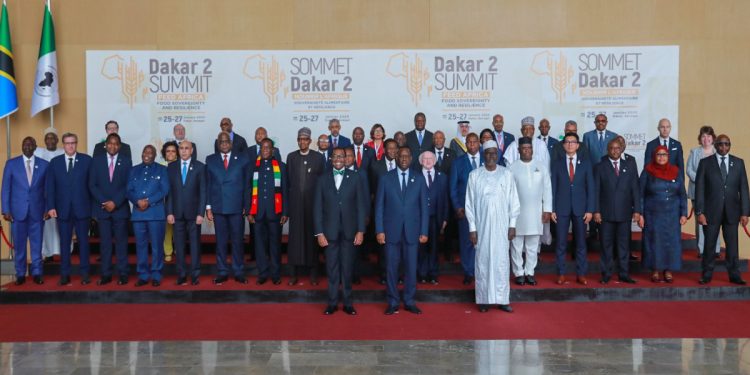Feed Africa Summit: AfDB Committing $10bn to Make Continent Breadbasket of the World