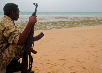 Somali Army Captures Al-Shabaab Stronghold along Indian Ocean