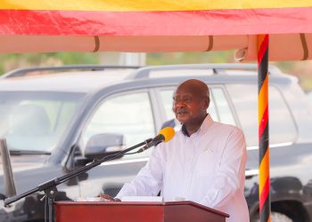 Medicine for Poverty is Wealth Creation, says Museveni