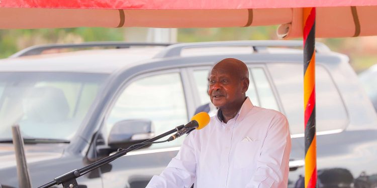 Medicine for Poverty is Wealth Creation, says Museveni