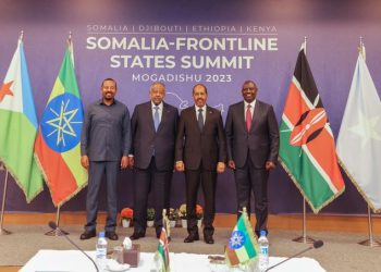 Somalia Summit Vows ‘Final Push’ against Al-Shabaab