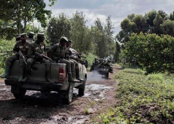 DRC Ceasefire Fails to Hold as M23 Rebels, Military Clash