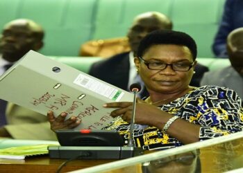 Agriculture Ministry Needs Shs660bn for Food Security