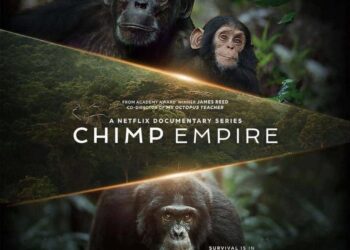 Chimp Empire: Ugandan Primates Feature in Netflix Documentary