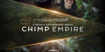 Chimp Empire: Ugandan Primates Feature in Netflix Documentary