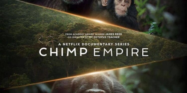 Chimp Empire: Ugandan Primates Feature in Netflix Documentary