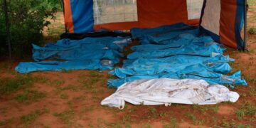 Bashir’s Cronies Escape Jail, Adding to Sudan War Drama