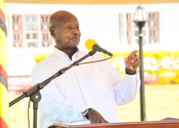 Museveni Assures People of Acholi on Ending Cattle Raids