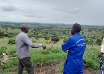 Farmers, Processors Take on Initiative to Increase Diary Output & Income