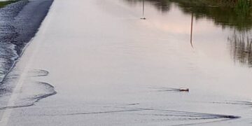 UNRA Issues Advisory after Katonga River Floods Cut Off Kampala-Masaka Highway