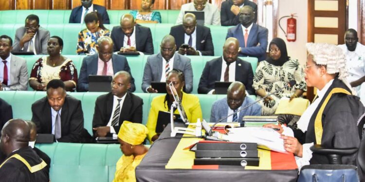 Parliament Halts Evictions in Mt. Elgon National Park