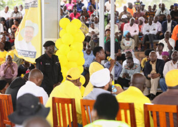 NRM Determined to Regain Kampala, says Seninde