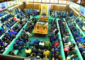 MPs Approve Tax on Diapers