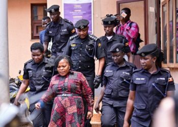 Minister Nandutu Granted Bail