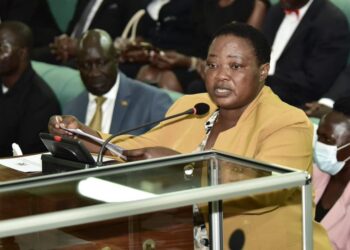 MPs Demand Probe into Errant RDCs, Security Officers over Brutal Arrest of Women MPs