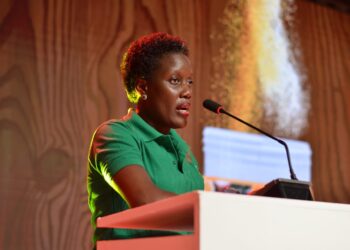 Unilever Re-launches Royco Cubes, Promises Taste and Nutrition