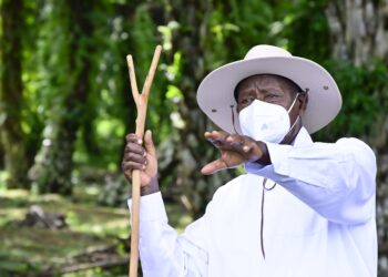 Museveni Lauds Kalangala Model Farmers for Embracing Gov’t Programmes