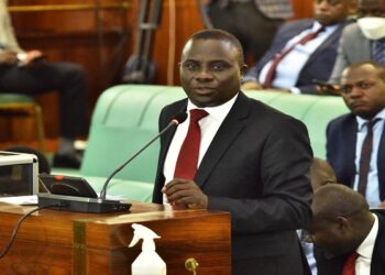 MPs Demand Probe into Errant RDCs, Security Officers over Brutal Arrest of Women MPs