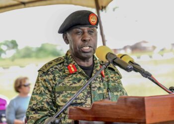 Over 482 People Arrested for Misappropriating PDM & Other Gov’t Funds- Brig Gen Isoke  