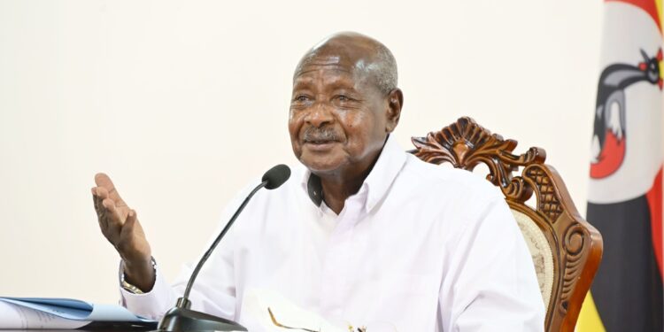 Uganda Has Ability to Feed over 200m People, Museveni Tells Serbians