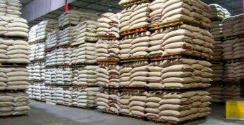 Uganda Earns UGX 330.5bn from Coffee Exports in June as Prices Hit Record High