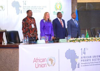 AU Private Sector Forum Roots for Intra-Africa Linkages to Leverage Shared Resources, Expertise