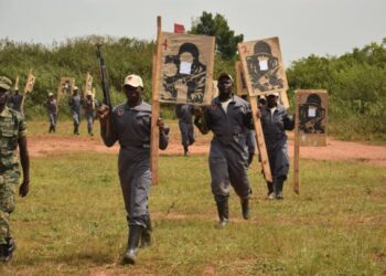 UPDF Commercial Arm, NEC, Ventures into Private Security Services