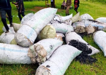 Police Driver Dismissed over Illegal Charcoal Dealings in Karamoja