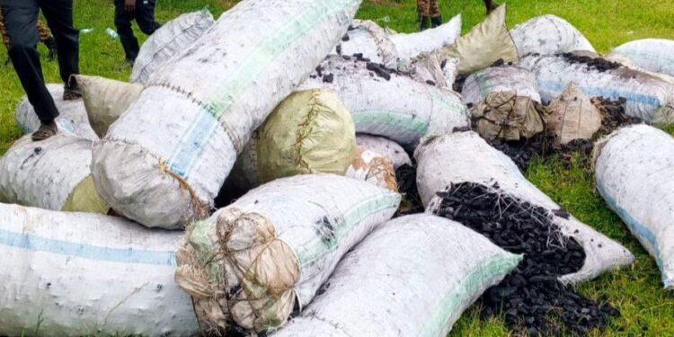 Police Driver Dismissed over Illegal Charcoal Dealings in Karamoja