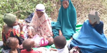 Operation Shujaa: UPDF, FARDC Kill 2 ADF Rebels and Rescue 7 Abductees