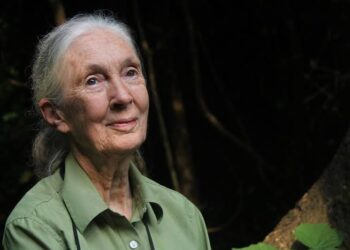 Renowned Conservationist Dr Jane Goodall to Visit Uganda this August