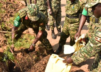 Eastern DR Congo: UPDF Moves to Plant over 300,000 Trees in Massive Environmental Conservation Campaign