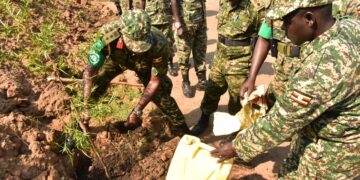 Eastern DR Congo: UPDF Moves to Plant over 300,000 Trees in Massive Environmental Conservation Campaign