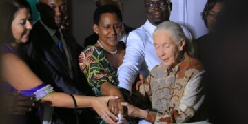 Pictorial: Ngamba Island Celebrates Silver Jubilee in Style